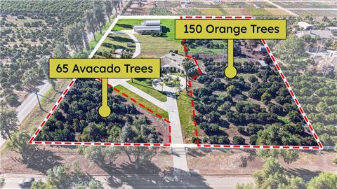 Photo of 2540 Monroe Street, Riverside, CA 92504 (MLS # WS26021526)