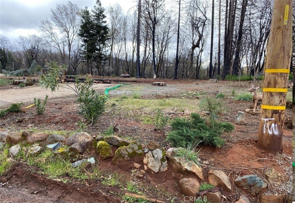 13630 S Park