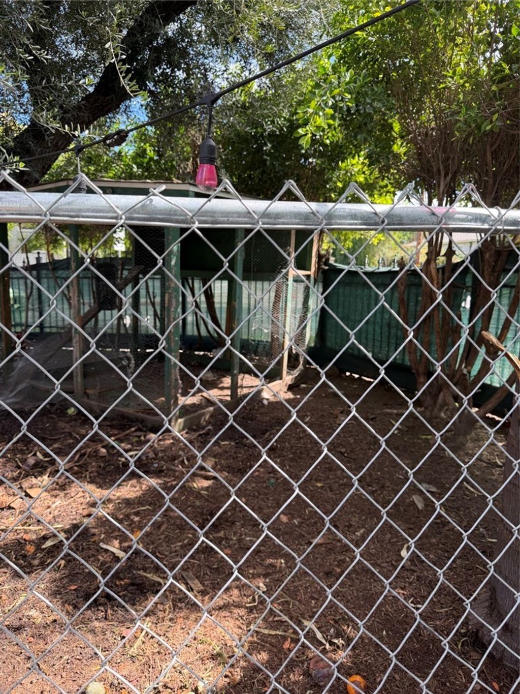 Photo of 17845 VALLEY VISTA Boulevard, Encino, CA 91316 (MLS # SR26049368)