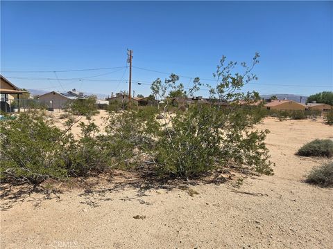 Photo of 1235 Daisy Avenue, 29 Palms, CA 92277 (MLS # JT25216399) Photo of 1235 Daisy Avenue, 29 Palms, CA 92277 (MLS # JT25216399)