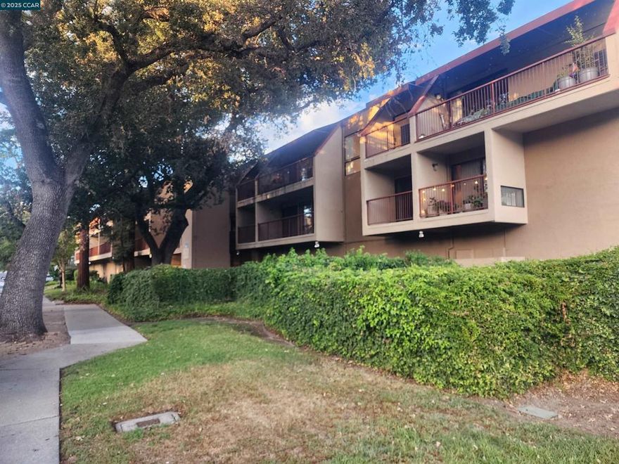 A quiet retreat in the bustling heart of Walnut Creek. Walk to the best of Walnut Creek's dining and shopping. Minutes from the main commute routes, yet peaceful and private. This freshly updated 1-bedroom condo features in-unit laundry and central heat and AC. NOTE: elevator is currently out of service. Call listing agent for additional information. Easy application process. Background and prior rental history check required. Non-refundable application fee paid by each applicant 18+. 1st and last month rent + $2000 security deposit, 620+ score and income equal to 3x monthly rent amount.