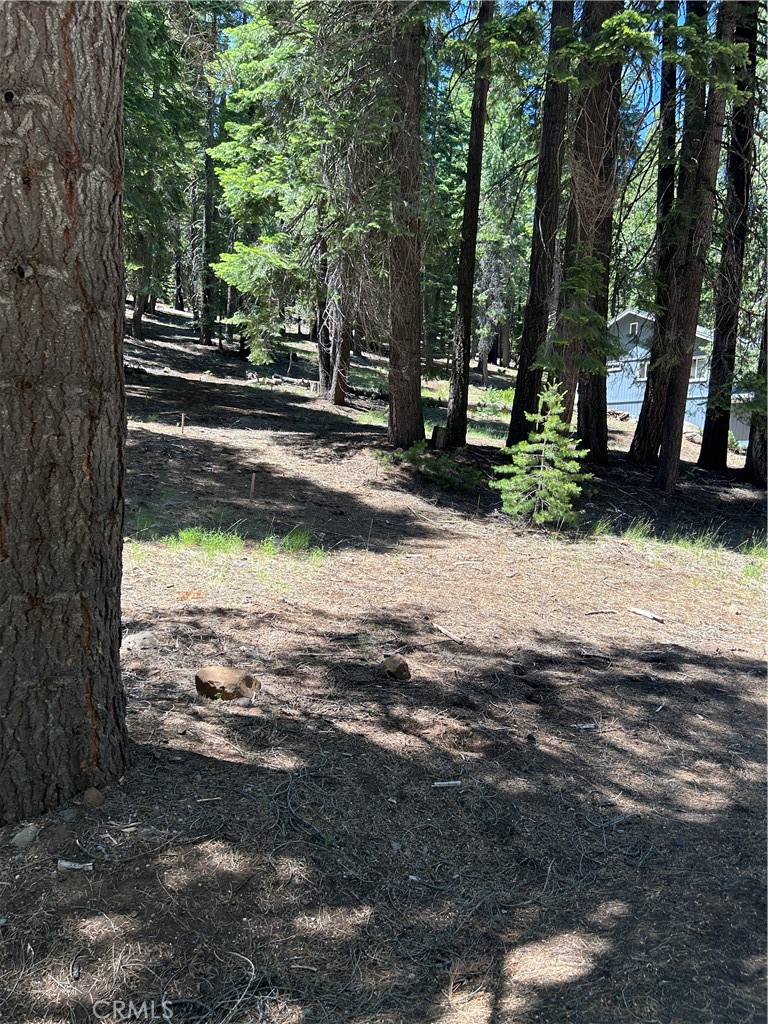 631 Cedar Canyon Road