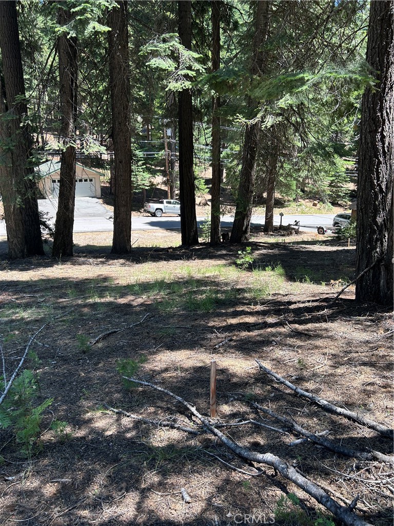 631 Cedar Canyon Road