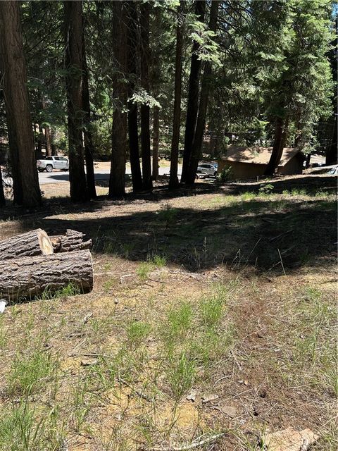 631 Cedar Canyon Road Westwood CA 96137