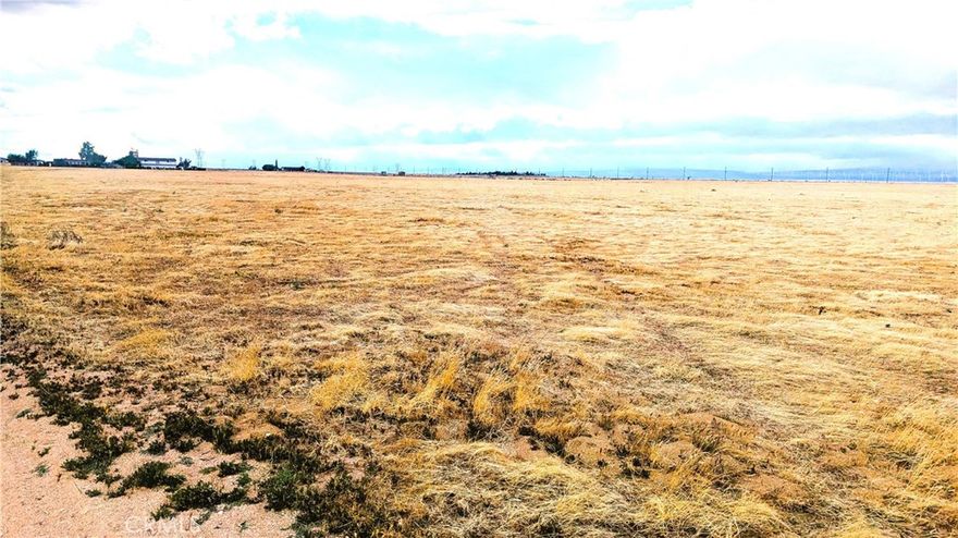 Motivated Seller!!! 40 acres close to Antelope Acres - all flat and usable to create your own private oasis. You can build your dream ranch home and have plenty of room for horses, orchards, guest home(s) for extended family or nearly anything else you can imagine! Breathtaking views of the surrounding valley and mountains, fresh clean air and lots of space yet only a short drive from Highway 138 with a few neighbors nearby. If you are looking for privacy and land to call your own here it is! Make an offer! Buyer to make their own independent investigations regarding zoning, survey and cost and availability of utilities