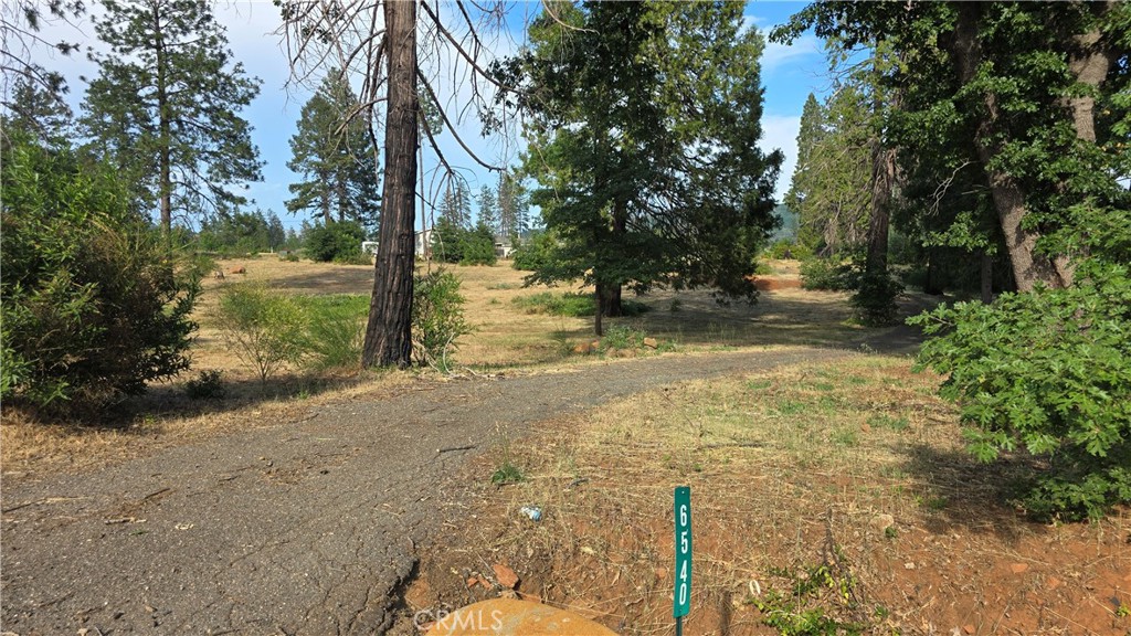 WOW!! Check out this amazing opportunity to purchase a truly beautiful 1.35 Acre parcel with a home site sitting far back off the main road with a meandering paved driveway through a still green & lush grove of trees! This level lot front on Pentz Road just down a block from the elementary school and has no neighbors on the south side of the lot as it sits alongside Silverthorne Lane giving you lots of privacy and accessibility. The utilities have all been replaced underground along the front of the property and are ready to pull into your new home site, including the PID water service in good standing! You also have the option to purchase the neighboring 1.32 Acre lot that is adjacent to this one and also fronts on Pentz Road and shares the north side with Stark Lane. Where else can you own an entire country block!?! The additional parcel is available for $40K and is also a beautiful & level, Rural Residential 1/2 acre minimum zoned parcel just like this one. Rural Residential zoning allows for small & large farm animals, including horses and are hard to find, so grab this while you can! Located in the heart of Paradise on historic Pentz Road, this location is just minutes to downtown, shopping, dining, schools & parks! Enjoy easy access to a wide range of outdoor activities. Only 7.5 miles south is Lime Saddle Marina at Lake Oroville’s north end—perfect for boating, water skiing, swimming, or fishing. Just 9 miles north, you’ll find Paradise Lake, a tranquil spot ideal for kayaking, canoeing, and quiet fishing. Enjoy peaceful moments on the water and watch for bald eagles and other wildlife in this no-motorboat zone. Just up the road, you’ll also find access to the West Branch of the Feather River, offering swimming holes, nature walks, and even the potential for a little gold panning! You’re close to several schools, a local shopping center, and the post office, putting convenience right at your fingertips. Whether you’re a nature lover, outdoor enthusiast, or simply looking for a peaceful and friendly place to call home, this location offers it all. Don’t miss this opportunity to build your future in a growing community with so much to offer!