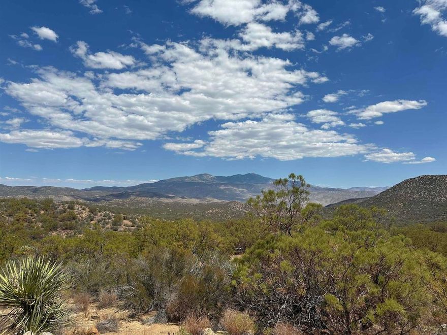 Attractive financing available with as little as 15% down! Discover the beauty and tranquility of Anza with this spacious parcel located off Upper Tule Road, offering a peaceful setting surrounded by natural desert vegetation and mountain views. The property already has a private well and electricity set up, giving you a great start for your next project or investment. Enjoy the wide-open skies, native landscape, and the serene privacy that make Anza such a special place to unwind and connect with nature. Conveniently located with easy access to town amenities and main roads, this property offers both seclusion and accessibility.