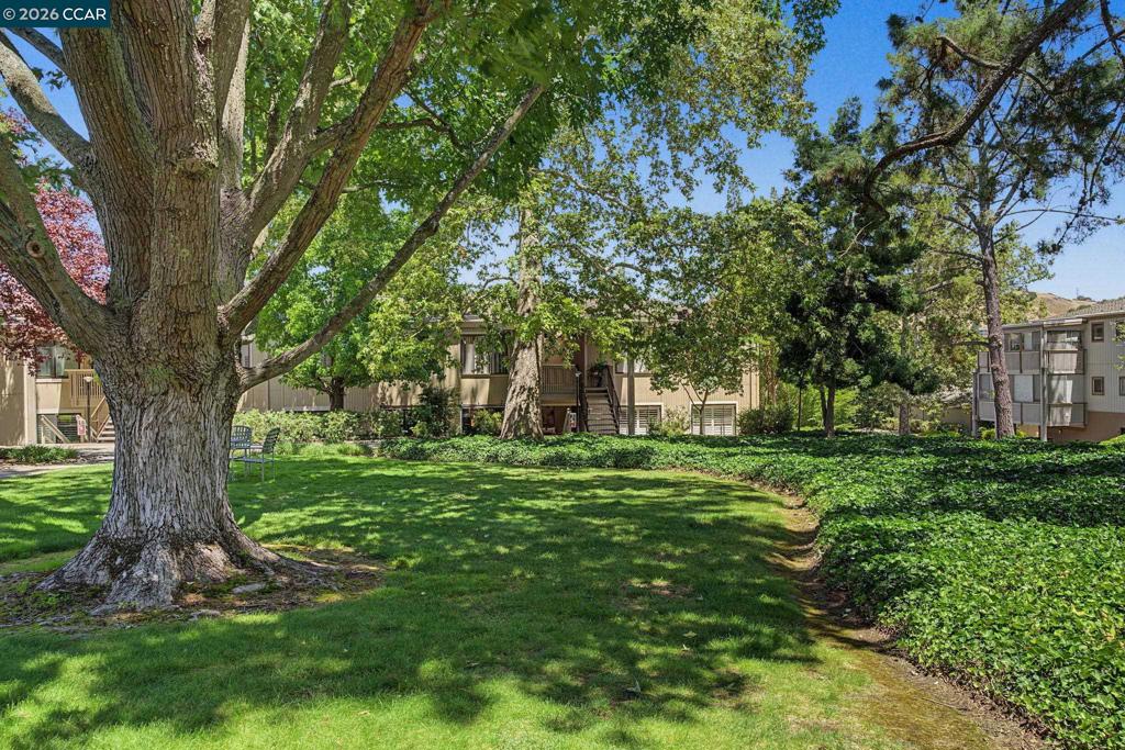 1108 Fairlawn Court 8