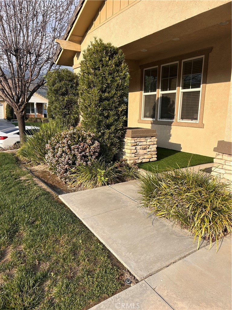 3819 Mule Creek Court