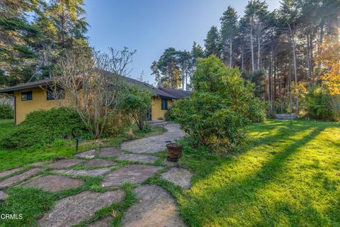 Photo of 19204 Benson Lane, Fort Bragg, CA 95437 (MLS # C1-11212)