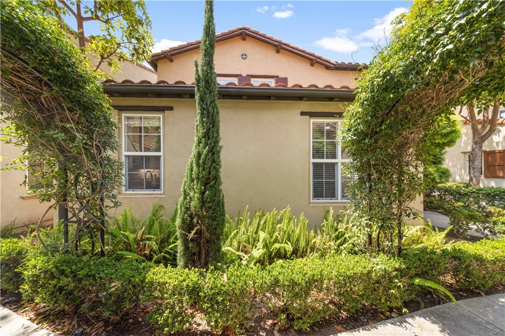 102 Chantilly