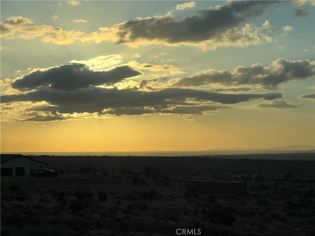 3 Ocotillo