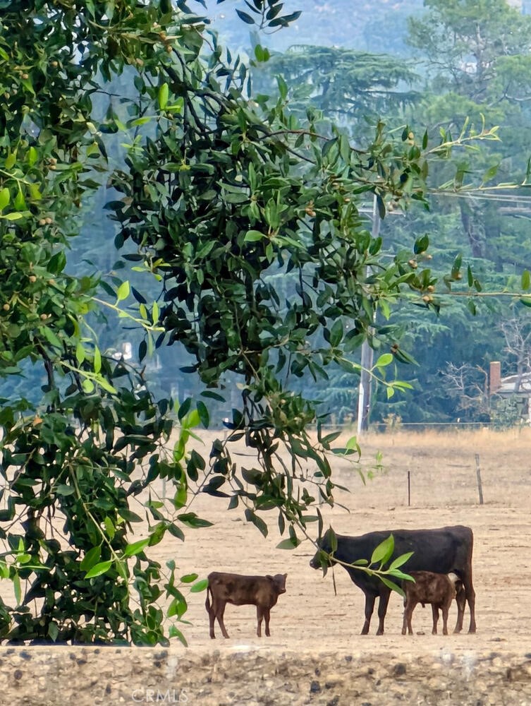 Solera (SLRA) - Residential