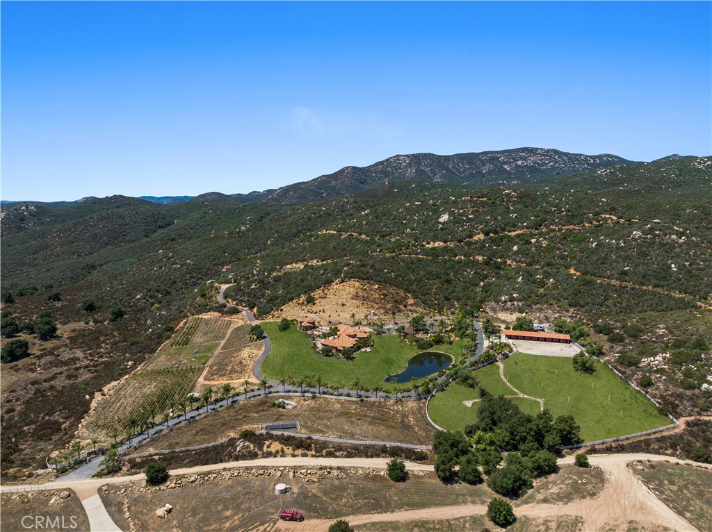 37565 Calle De Companero