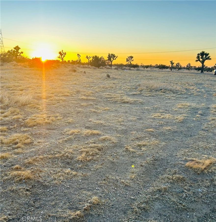 Own 2.5 acres in the heart of Joshua Tree, CA — APN 0604-201-23-0000 — where natural beauty meets endless possibilities. This flat, usable parcel is surrounded by panoramic views of the mountains and studded with the area’s signature Joshua trees, creating a picturesque setting for your future home, vacation rental, or off-grid retreat. Located just minutes from Joshua Tree National Park, you’ll have easy access to world-famous hiking trails, rock climbing, camping, and stargazing under some of the clearest night skies in the country. The property is also a short drive to the vibrant local scene — unique art galleries, music venues, boutiques, and farm-to-table restaurants in downtown Joshua Tree and nearby Yucca Valley. Whether you’re looking to invest, build, or simply enjoy a peaceful escape, this land offers a rare chance to own a slice of California’s high desert paradise. Buyer to verify utilities, zoning, and acces.
