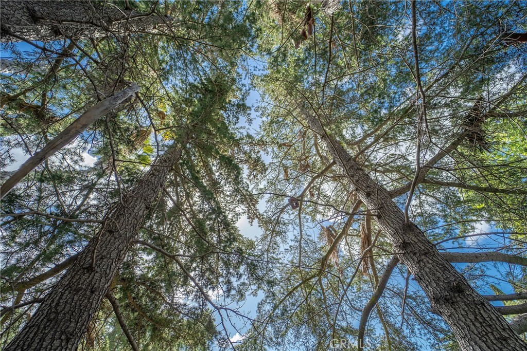 Aegean Hills Central (AH) - Residential