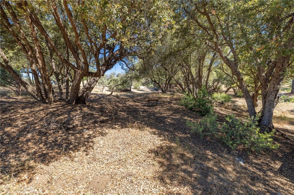 49 Acres Old Yosemite Road