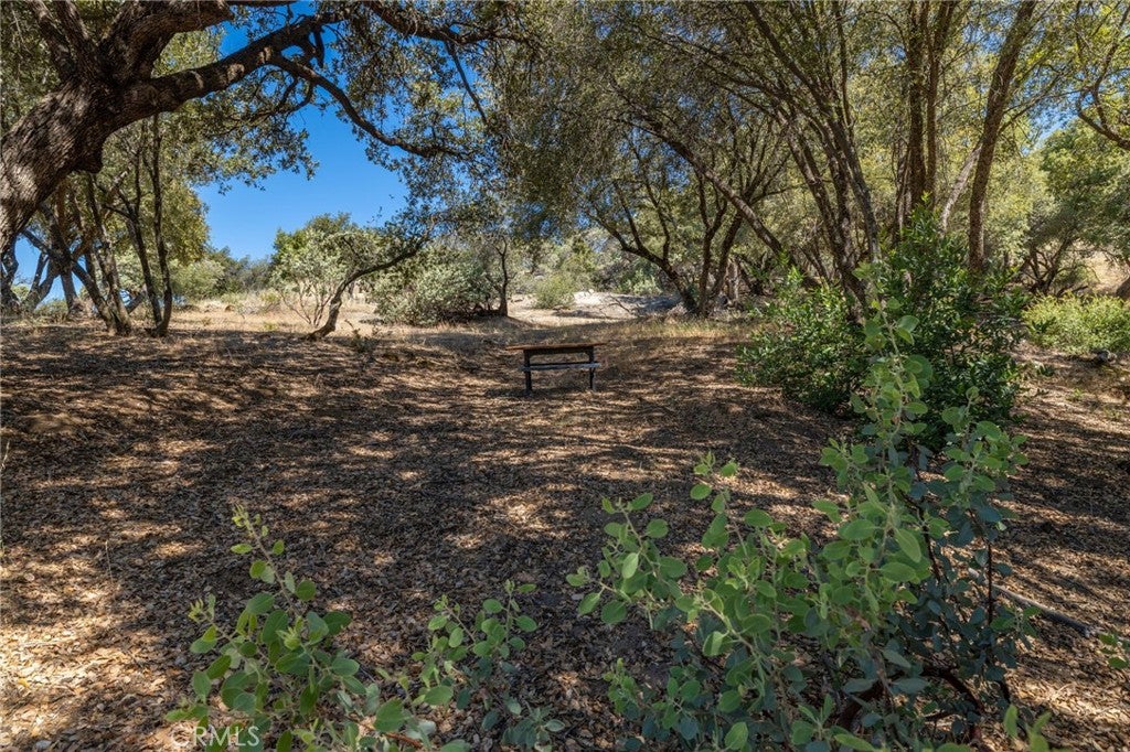 49 Acres Old Yosemite Road