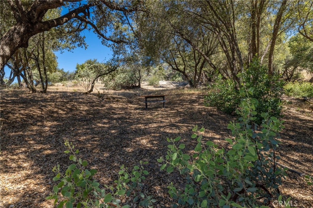 49 Acres Old Yosemite Road