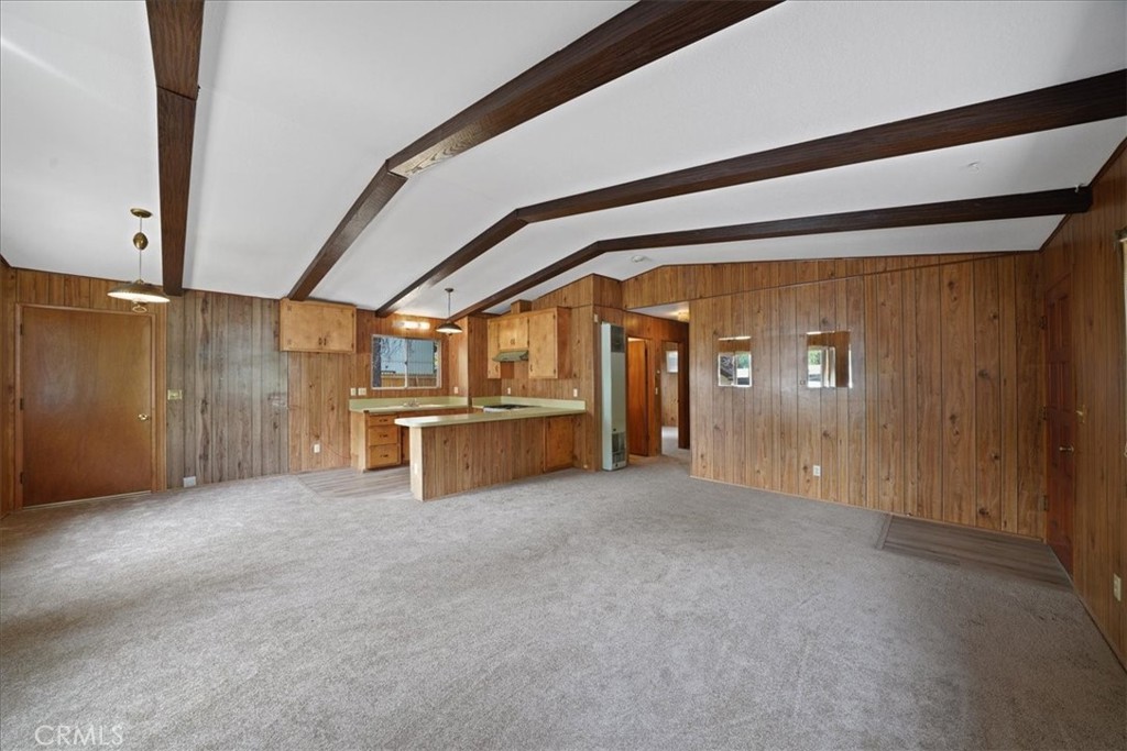 951 Snowbird Road