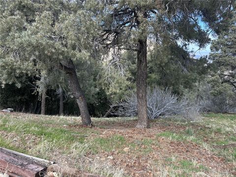 Photo of 0 Orchard, Wrightwood, CA 92397 (MLS # HD26045010)