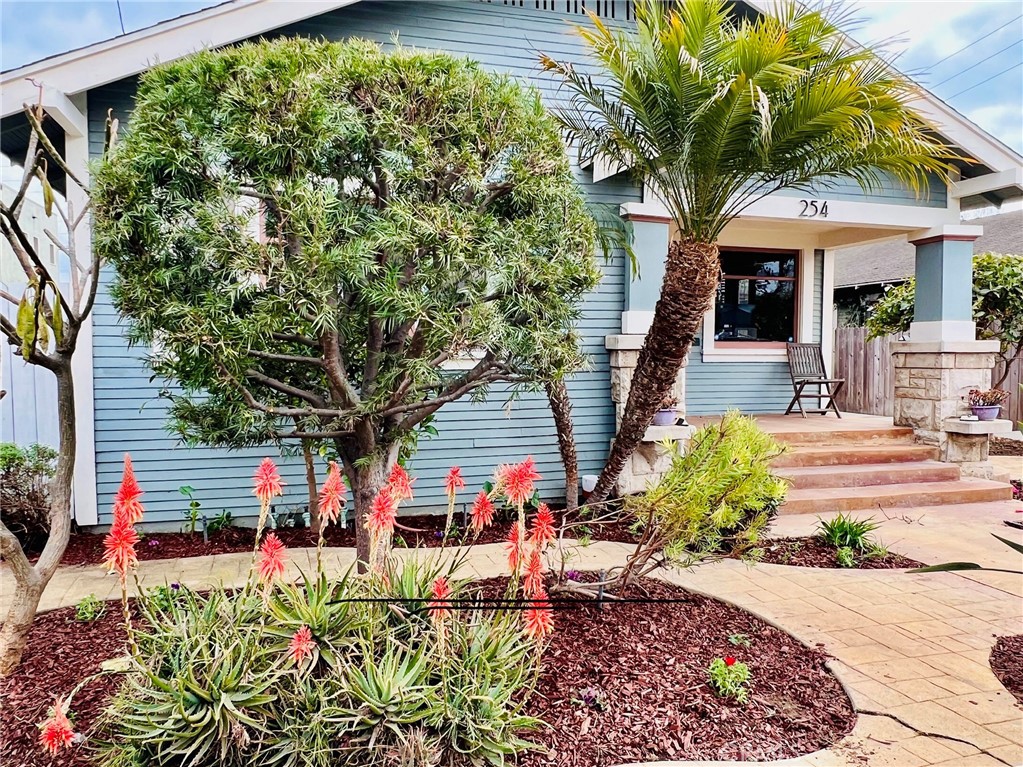 254 Newport Avenue