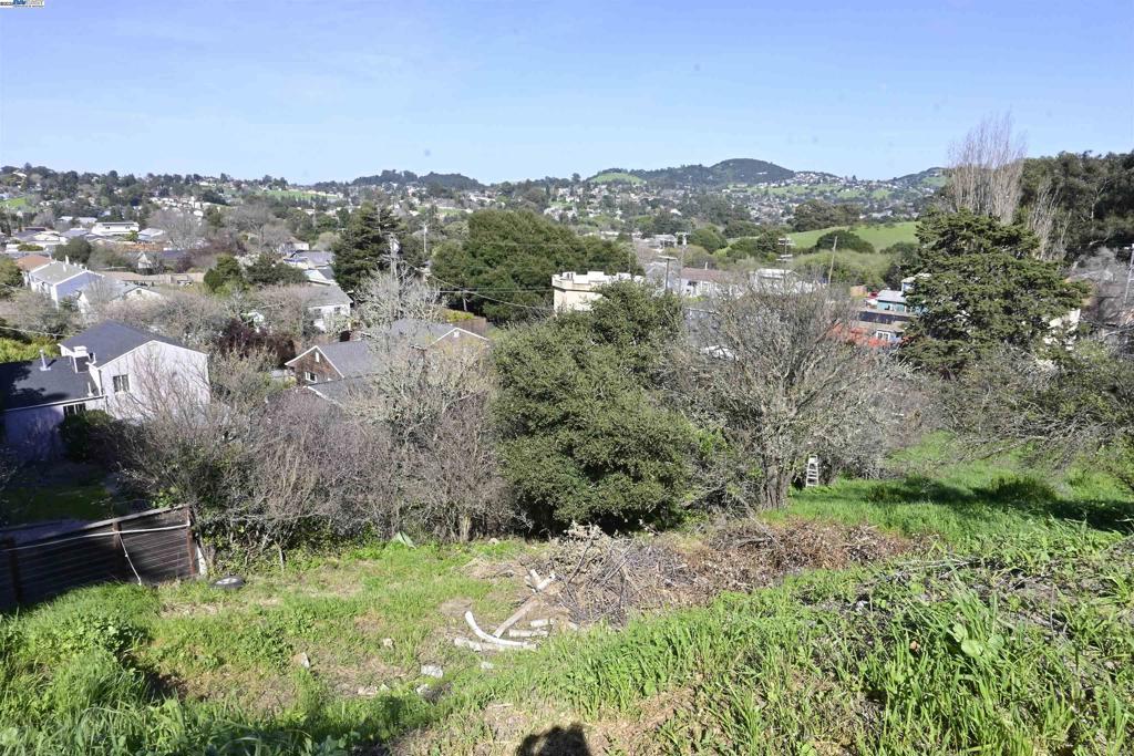 EL SOBRANTE HILL - Land