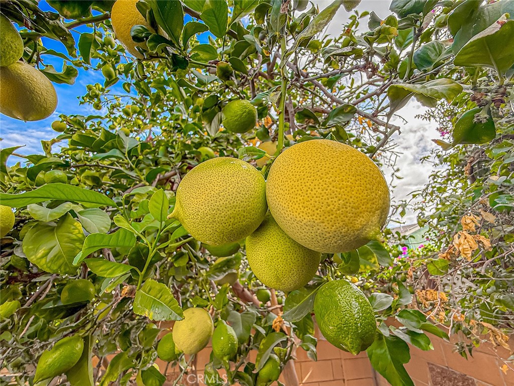 Valley West (Berylwood) (275) - Residential Lease