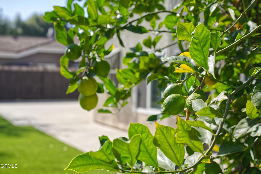 Fox Meadows-164 - Residential Lease