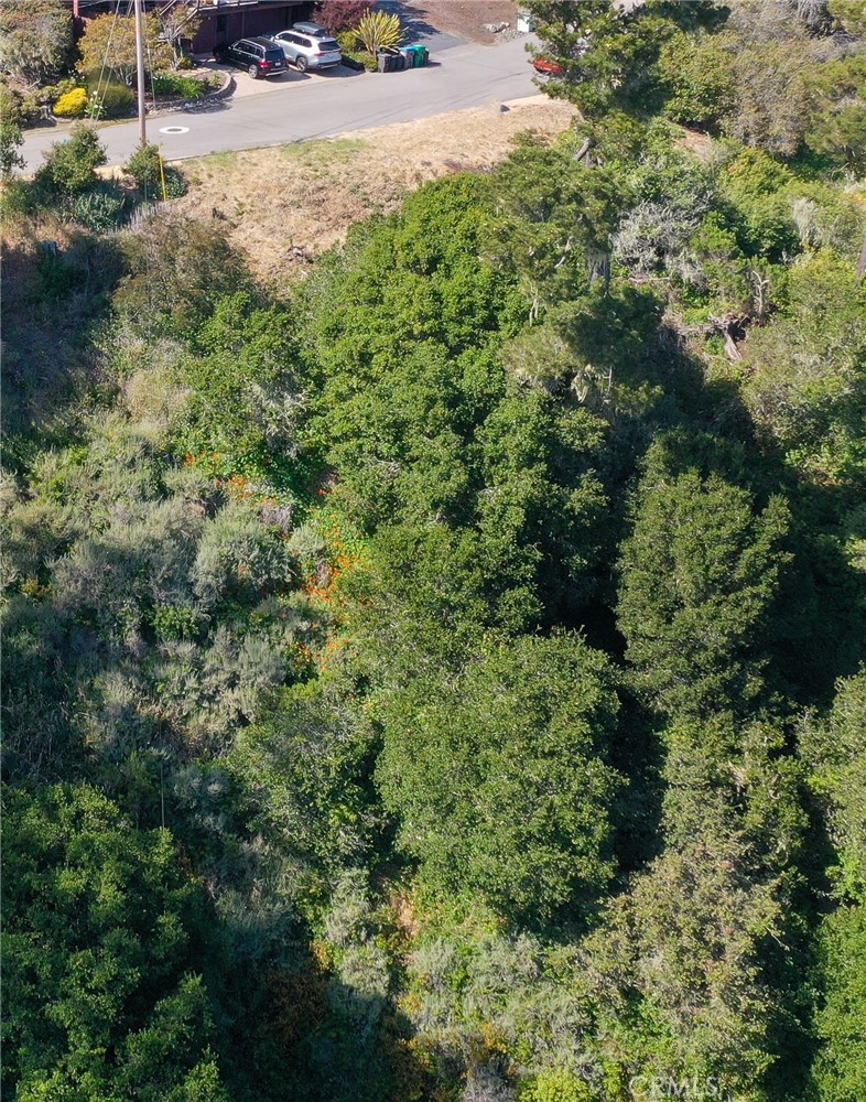 Perched in Cambria’s desirable Happy Hill neighborhood, this vacant parcel offers ocean views overlooking the pines and the West Village below. Set on a peaceful stretch near existing homes, the lot receives great sun exposure and captures the essence of Central Coast living.
While there is currently no water position and the parcel is not buildable at this time, it presents a rare opportunity to own land in one of Cambria’s most sought-after hillside communities. Whether held as a long-term investment, a view preservation parcel, or simply to enjoy a personal stake in this special place, the property offers enduring value.