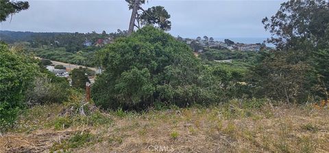 Tiny photo for 0 Croyden Lane, Cambria, CA 93428 (MLS # SC25146430)