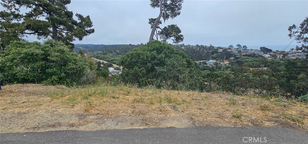 Perched in Cambria’s desirable Happy Hill neighborhood, this vacant parcel offers ocean views overlooking the pines and the West Village below. Set on a peaceful stretch near existing homes, the lot receives great sun exposure and captures the essence of Central Coast living.
While there is currently no water position and the parcel is not buildable at this time, it presents a rare opportunity to own land in one of Cambria’s most sought-after hillside communities. Whether held as a long-term investment, a view preservation parcel, or simply to enjoy a personal stake in this special place, the property offers enduring value.