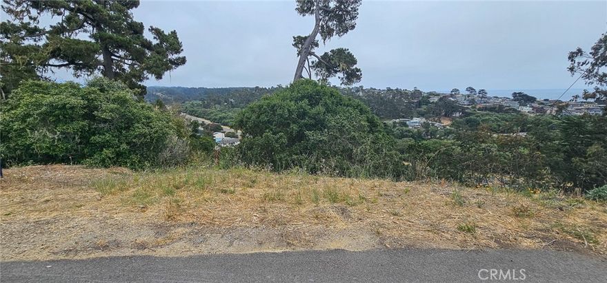 Perched in Cambria’s desirable Happy Hill neighborhood, this vacant parcel offers ocean views overlooking the pines and the West Village below. Set on a peaceful stretch near existing homes, the lot receives great sun exposure and captures the essence of Central Coast living.

While there is currently no water position and the parcel is not buildable at this time, it presents a rare opportunity to own land in one of Cambria’s most sought-after hillside communities. Whether held as a long-term investment, a view preservation parcel, or simply to enjoy a personal stake in this special place, the property offers enduring value.