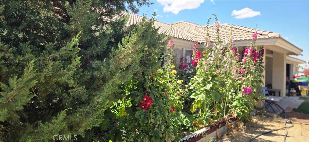 9562 Cambria Court