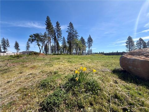 Photo of 6588 Pentz Road, Paradise, CA 95969 (MLS # SN26053786)