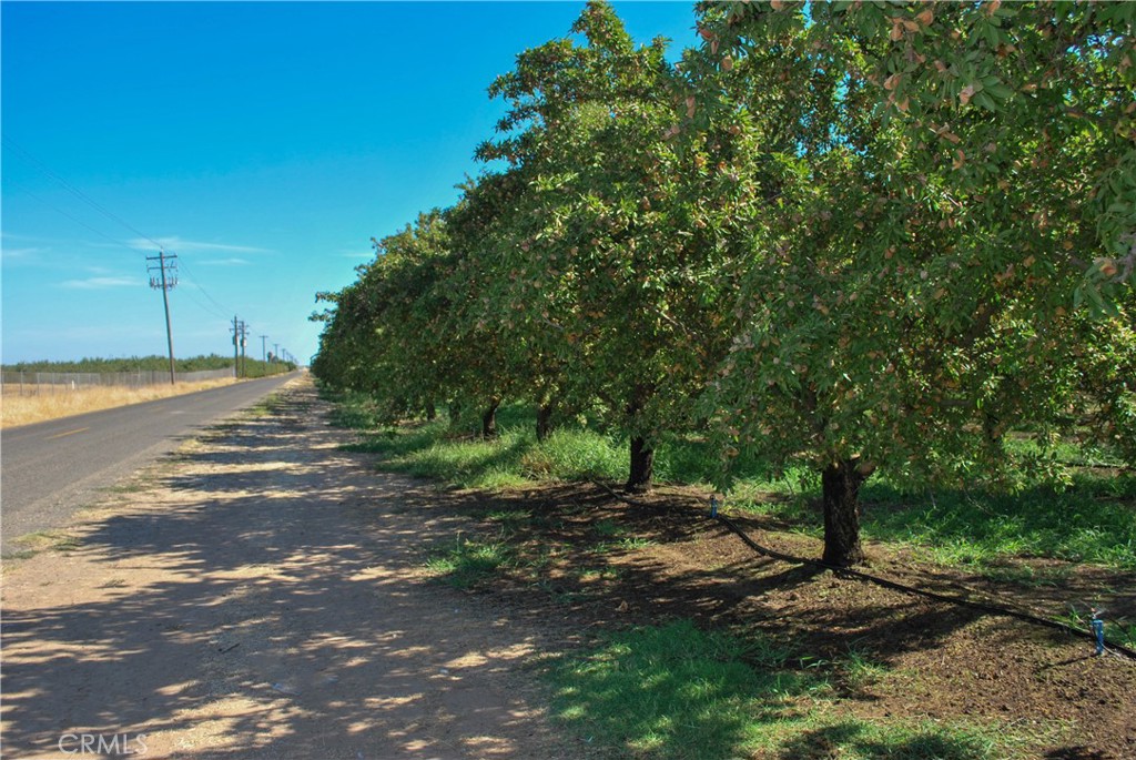 Great producing orchard opportunity. 15.29 acres of 13 year old Independence in MID on 30HP booster pump, filters and Netafim Micro-Sprinklers.