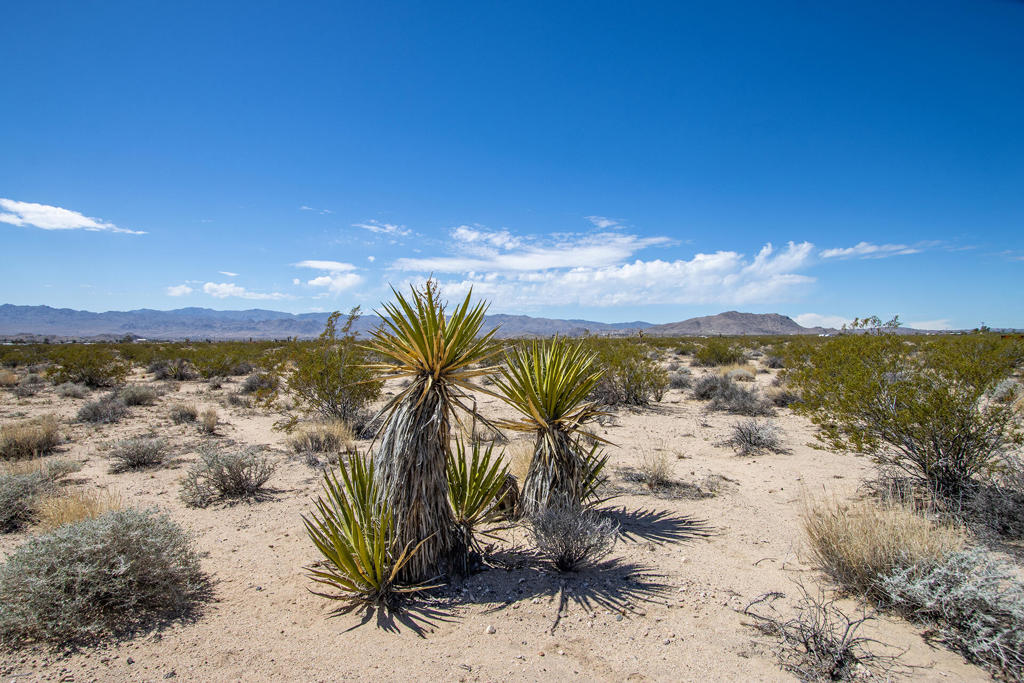 Not Applicable-1 - Land