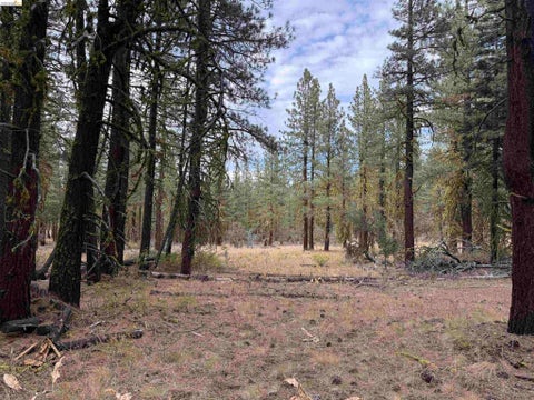 Photo of 00000 West Wing, Susanville, CA 96127 (MLS # 41147233)