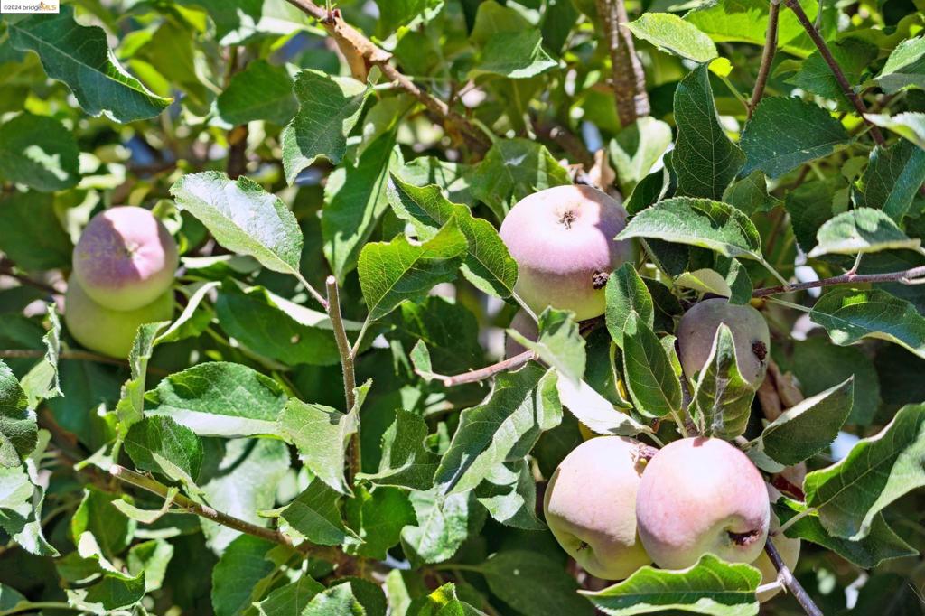 GRASS VALLEY - Residential