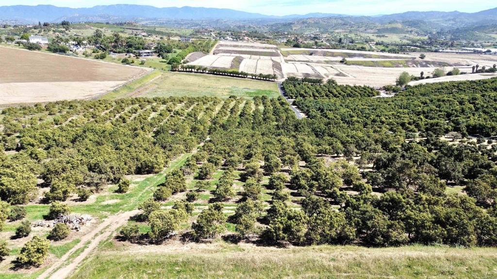 0 Via Puerta Del Sol