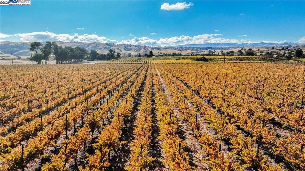 Photo of 9846 Reuss Rd, Livermore, CA 94550 (MLS # 41115386)