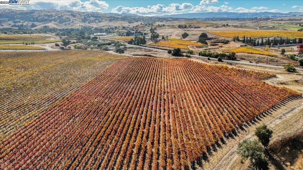 Photo of 9846 Reuss Rd, Livermore, CA 94550 (MLS # 41115386)