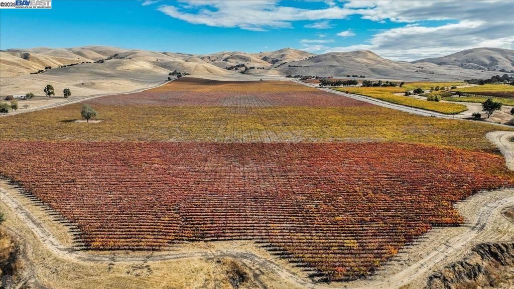 Photo of 9846 Reuss Rd, Livermore, CA 94550 (MLS # 41115386)