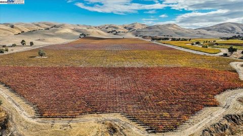 Photo of 9846 Reuss Rd, Livermore, CA 94550 (MLS # 41115386)