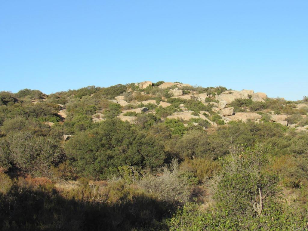 36.34 acres Leoney Court