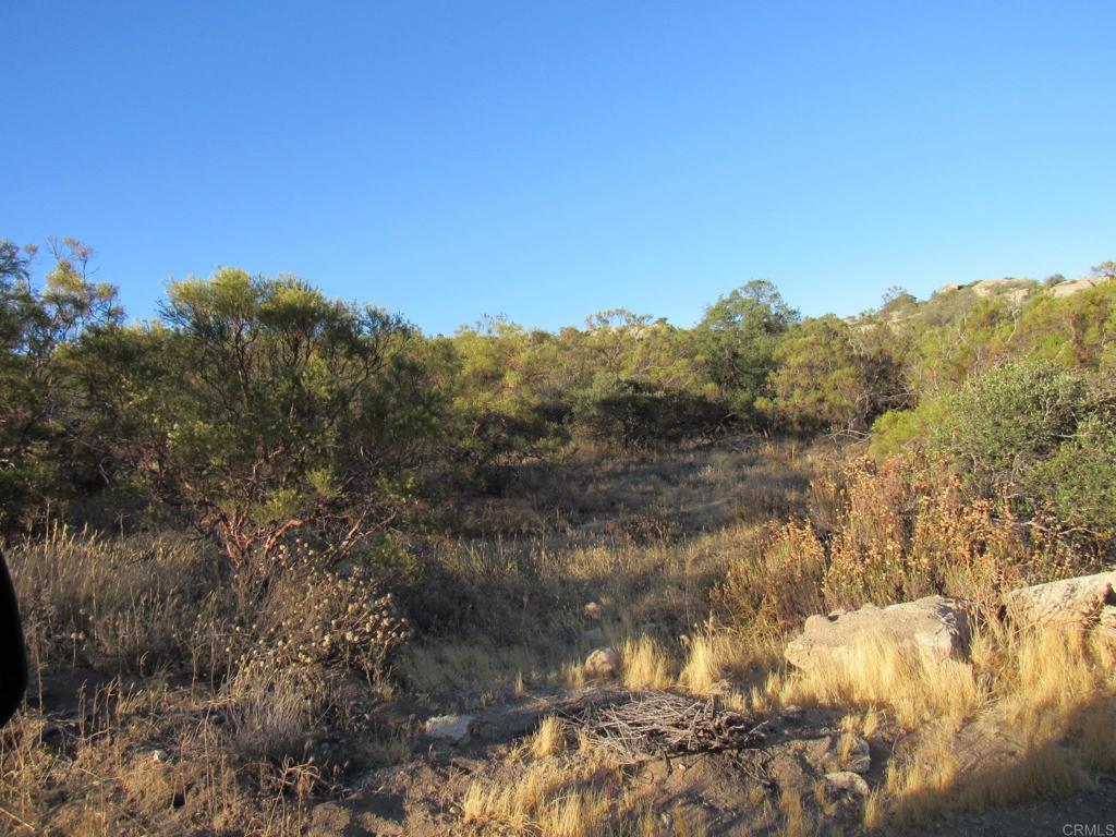 36.34 acres Leoney Court