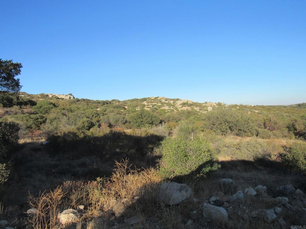 36.34 acres Leoney Court
