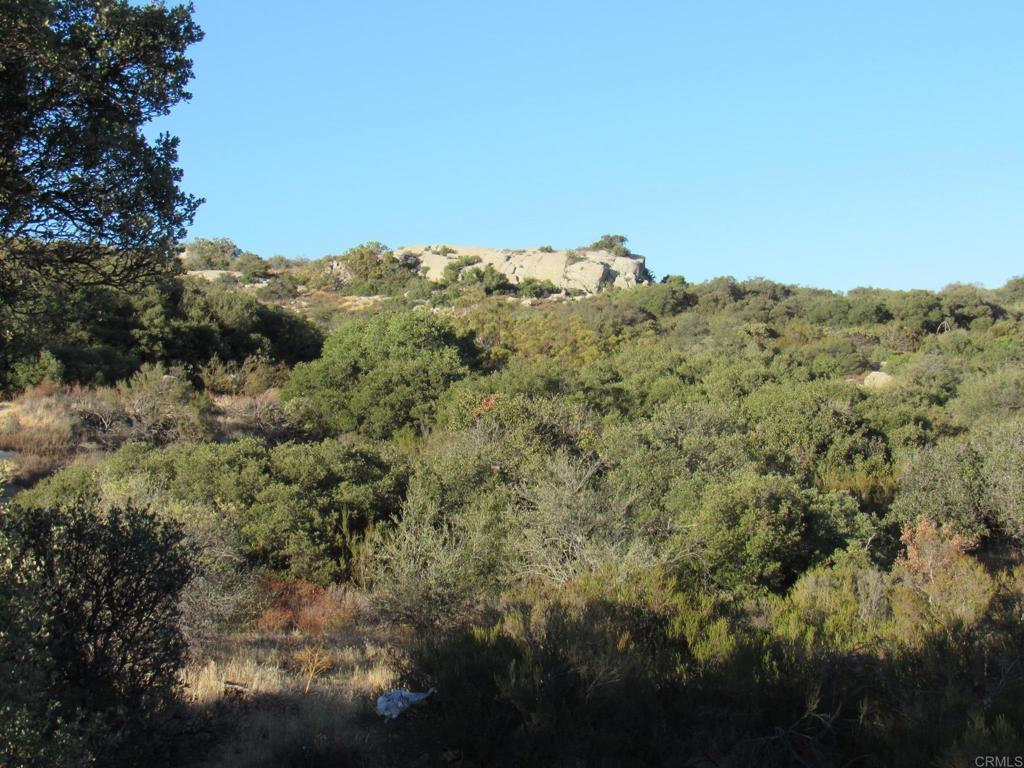 36.34 acres Leoney Court