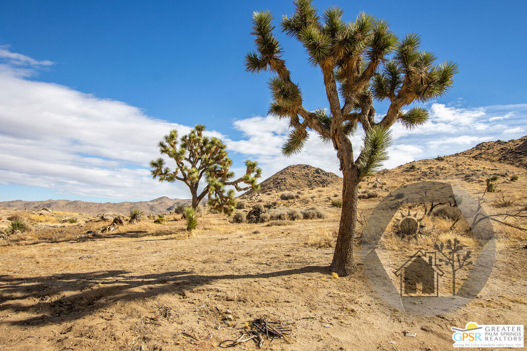 Upper Sky Harbor - Residential