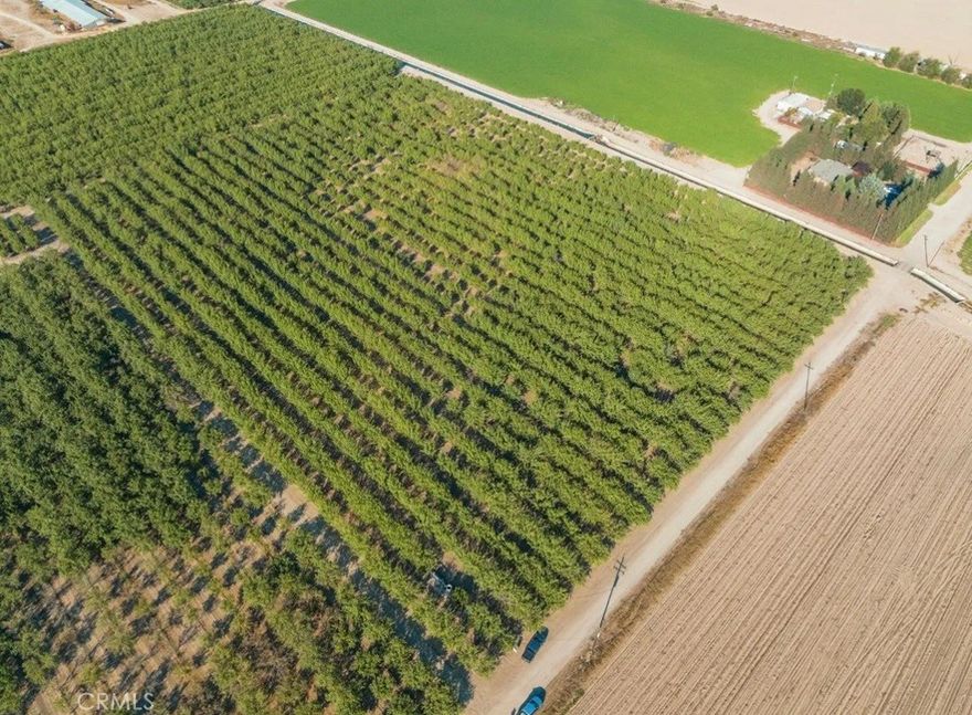 19.3± Acres of Producing Almonds | Livingston, CA
Situated on the northwest corner of Longview and the MID Canal (McCoy Lateral), this 19.3± acre almond ranch offers a great investment in one of Merced County’s most desirable growing areas.
Planted to 14th leaf Butte and Padre almonds, this property features dual water sources — Class 1 Merced Irrigation District water and an ag well — providing reliable irrigation through either double-line drip or flood via pipeline.
An existing Blue Diamond contract is in place and can be assumable by the buyer.
Tax benefits of purchasing an established orchard like this one may apply. Buyers should consult their accountant or tax professional for confirmation and specific details.
Parcel 1 of 18.7± acres is also for sale under mls # MC2524199